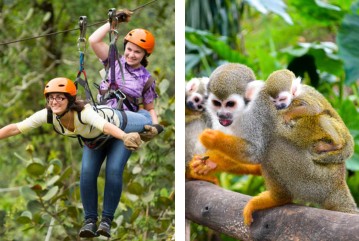 Shore Excursion: Monkey Jungle & Zip Line