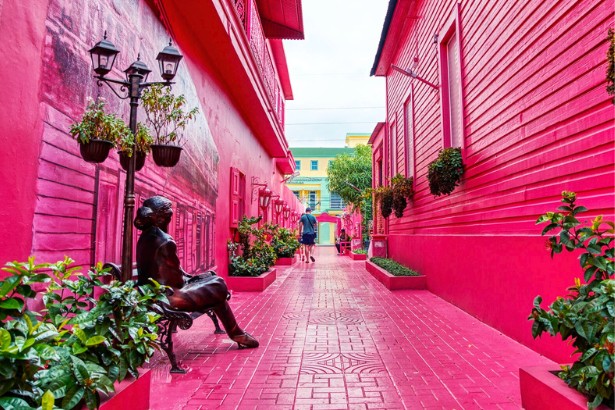 pink street. - puerto plata