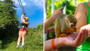 Puerto Plata: Monkey Jungle & Zip Line