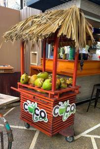 Shore Excursion: Puerto Plata City Tour