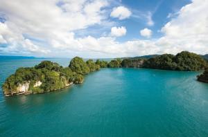 Puerto Plata: Samana, Los Haitises Park + Bacardi Island