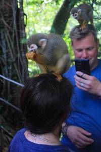 Shore Excursion: Monkey Jungle & Zip Line