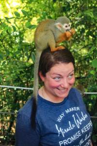 Puerto Plata: Monkey Encounter & Waterfalls