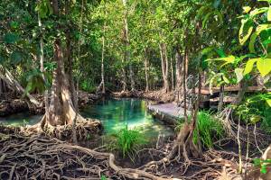 Puerto Plata: Samana, Los Haitises Park + Bacardi Island