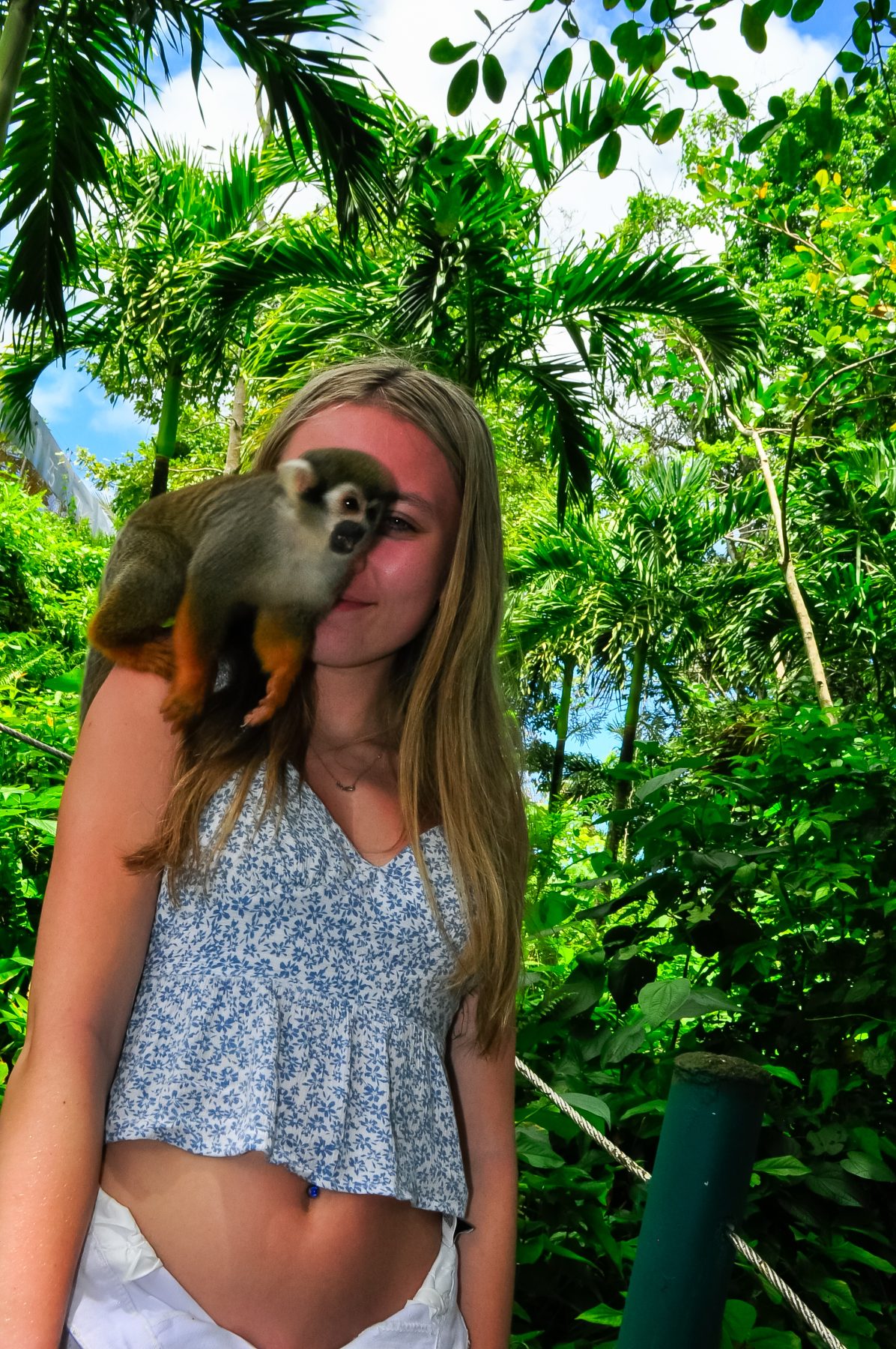 Puerto Plata: Monkey Jungle & Zip Line