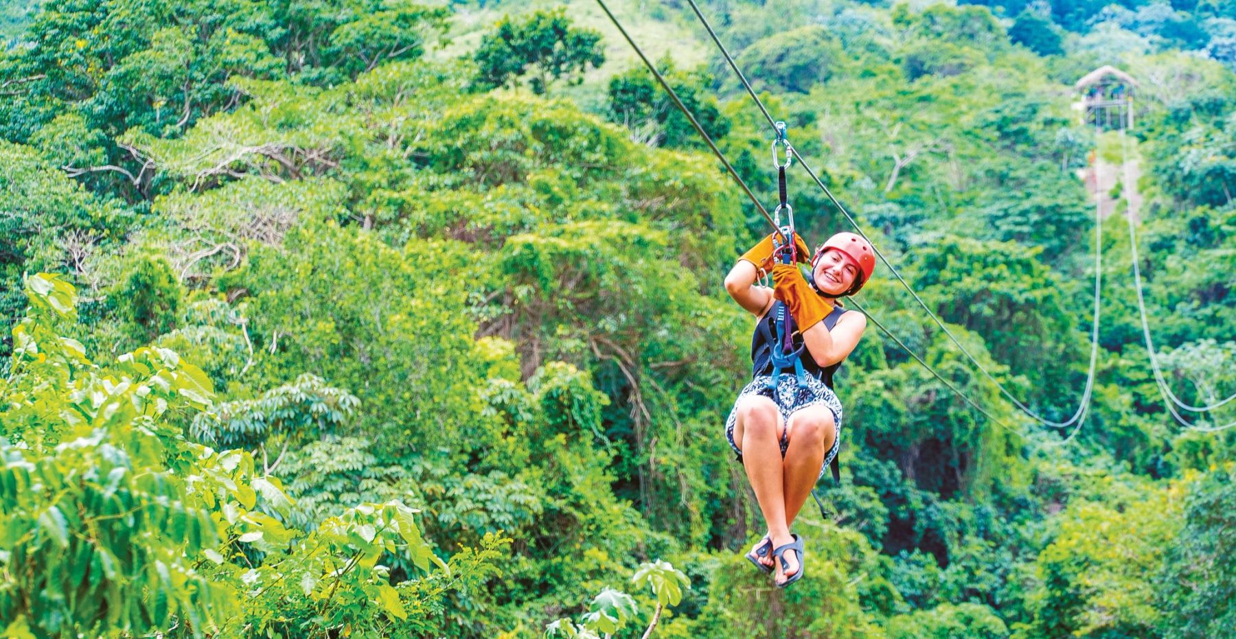 Puerto Plata: Monkey Jungle & Zip Line