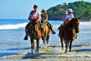 Punta Cana: Macao Beach Horseback Riding
