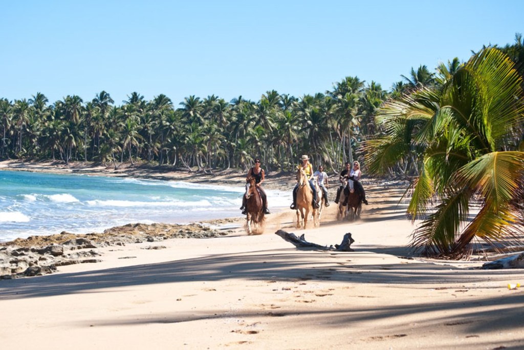 Punta Cana: Macao Beach Horseback Riding