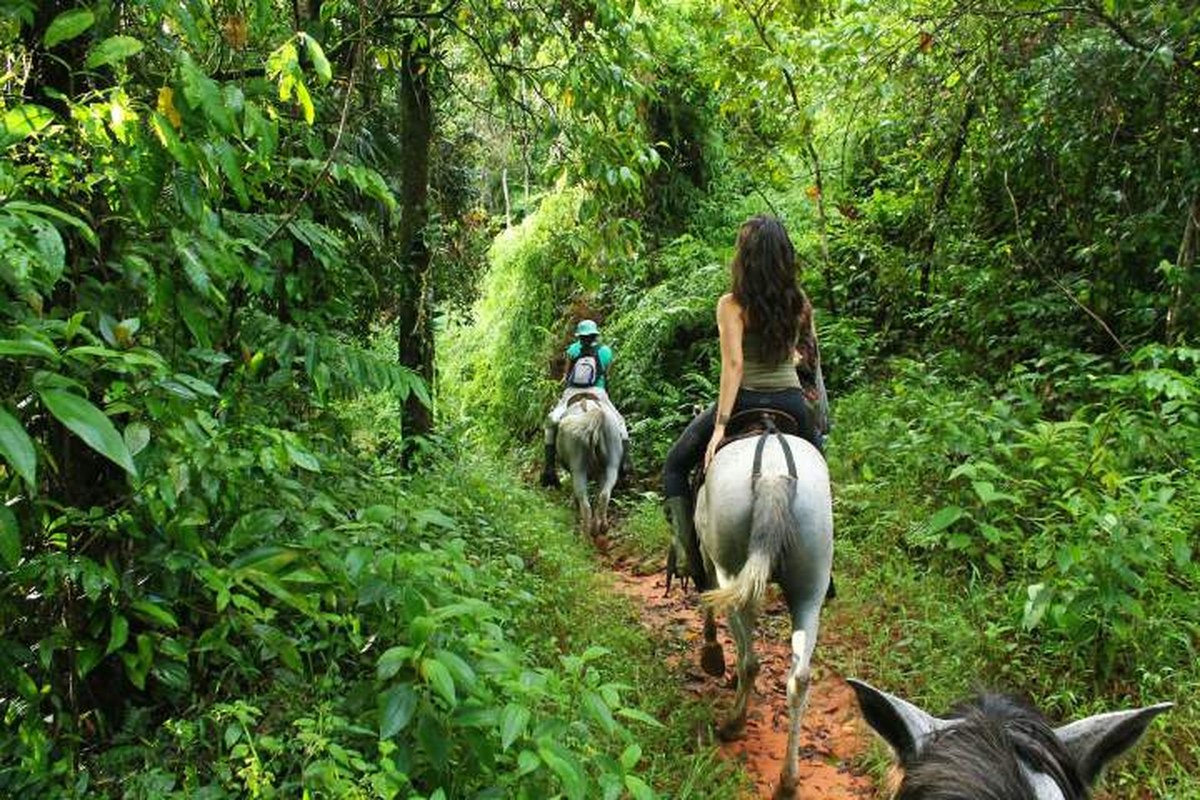 Horseback riding on the beach in Punta Cana