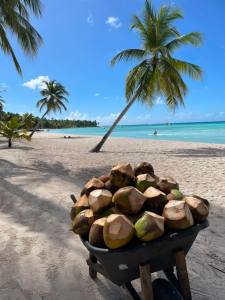 Punta Cana: Saona Island Tour