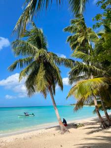 Punta Cana: Saona Island Tour