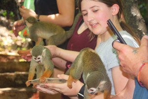 Punta Cana: Monkeyland Squirrel Monkey Encounter